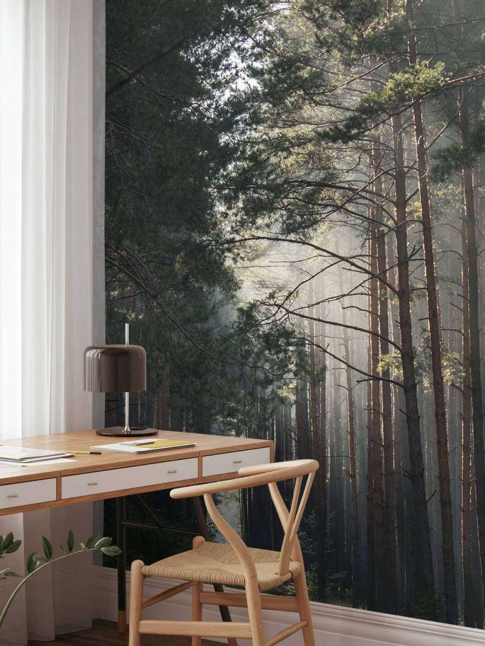 Lueur d'automne dans la forêt