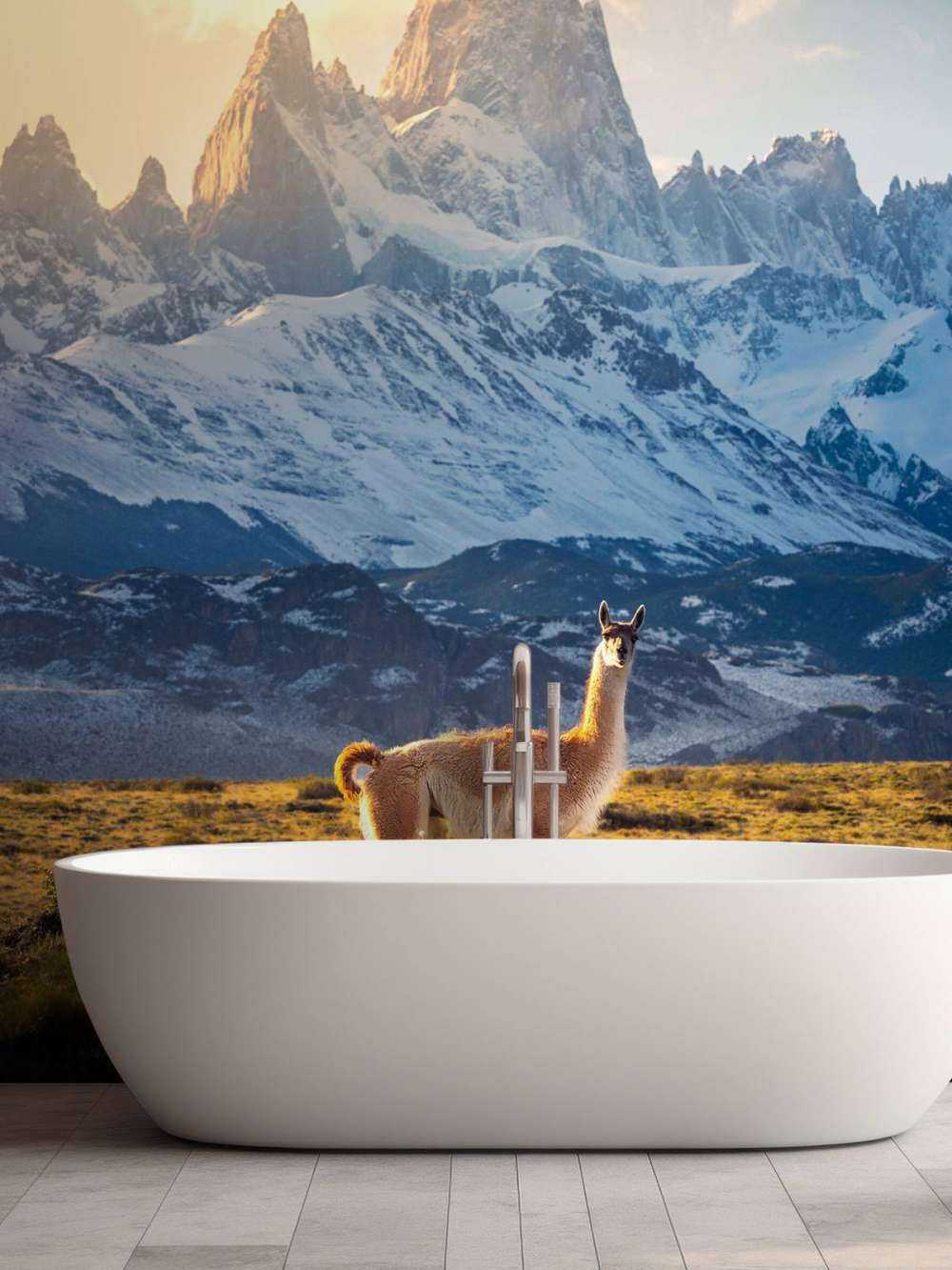 Guanaco en pleine lumière devant les sommets des Andes.