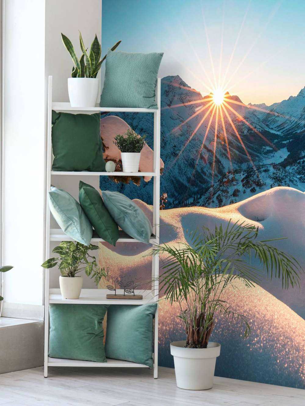 Soleil du matin sur une vallée enneigée