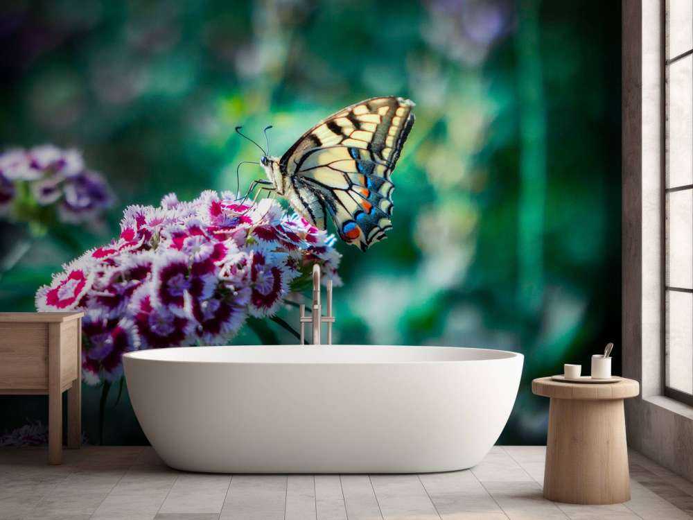 Papillon sur des fleurs estivales