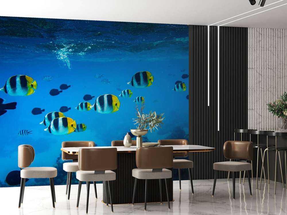 Poissons de récif tropicaux dans l'eau bleu clair