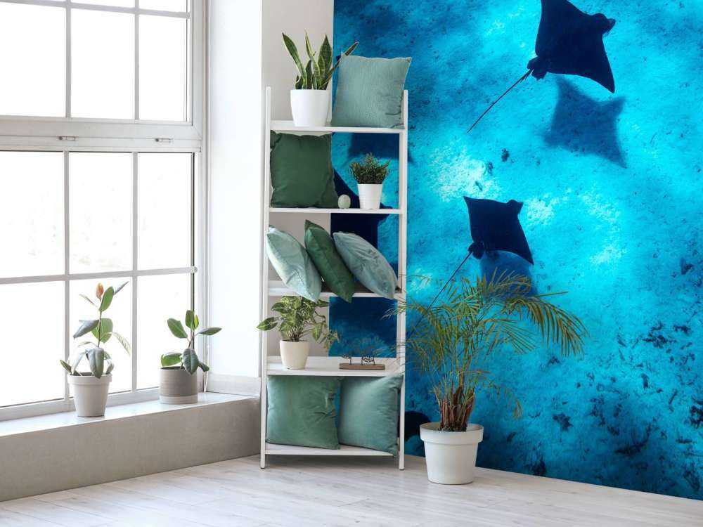 Les raies manta flottant à travers le récif bleu profond