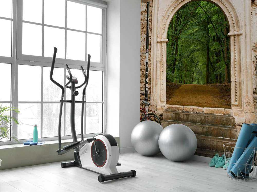 Porte vers le sentier forestier vert