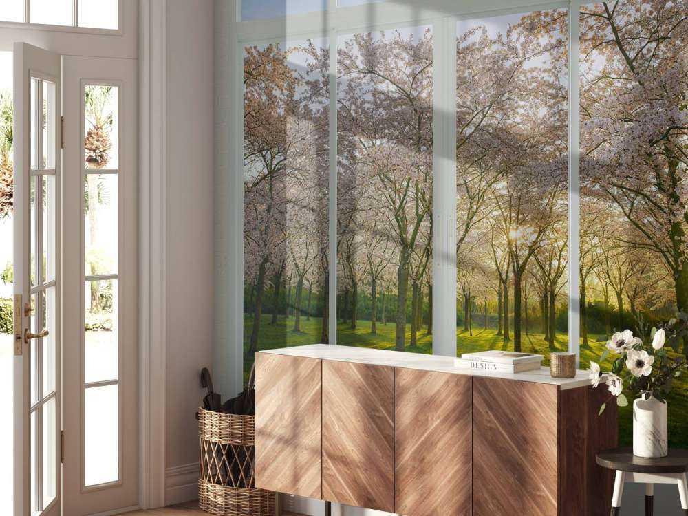 Bloesempark au soleil de printemps