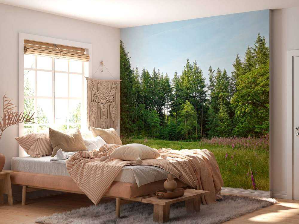 Espace ouvert dans une forêt