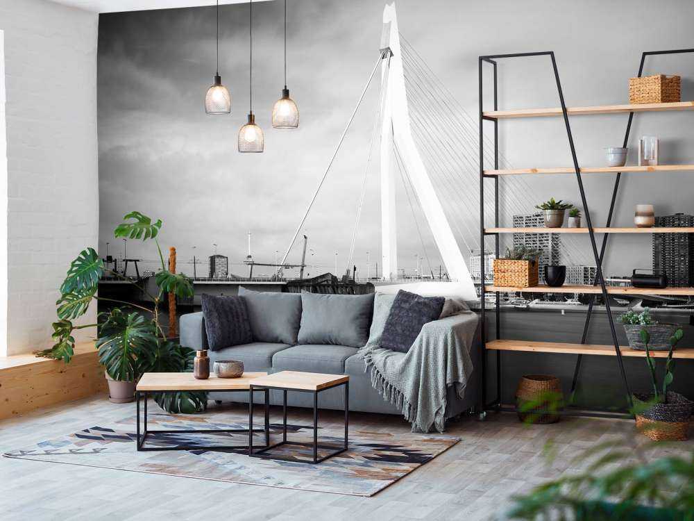 Pont Erasmus Rotterdam