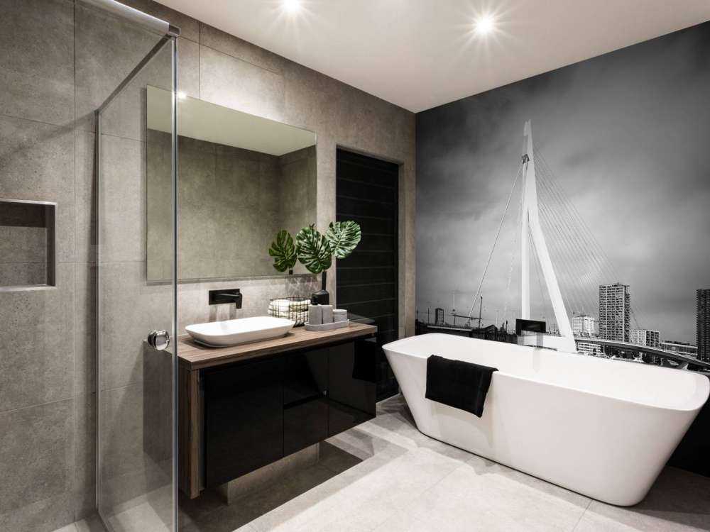 Pont Erasmus Rotterdam