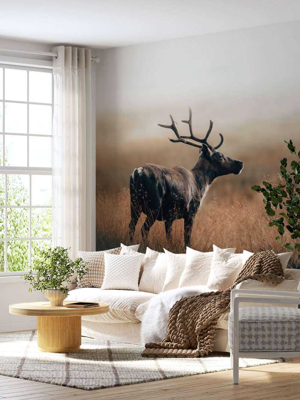 Renne dans les hautes herbes