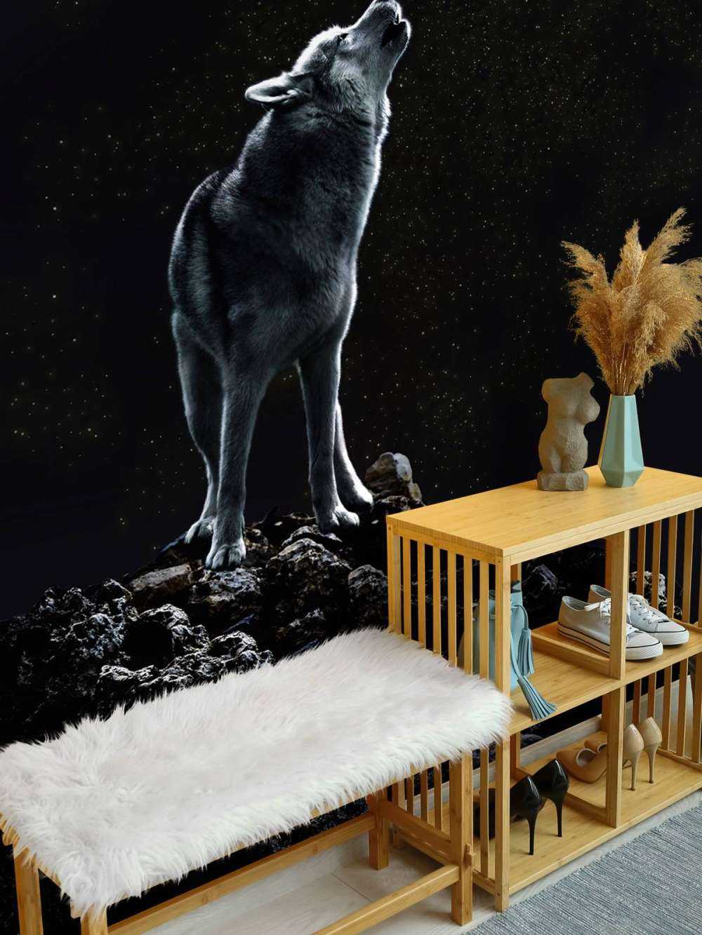 Appel de la lune Veilleur solitaire