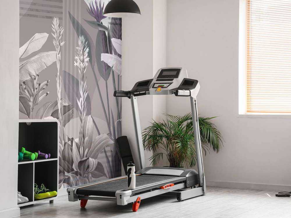 Dreams and Tropics 1