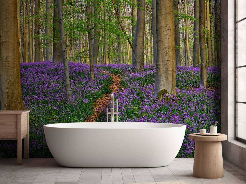 Joli chemin à travers la forêt