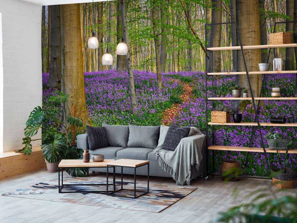 Joli chemin à travers la forêt