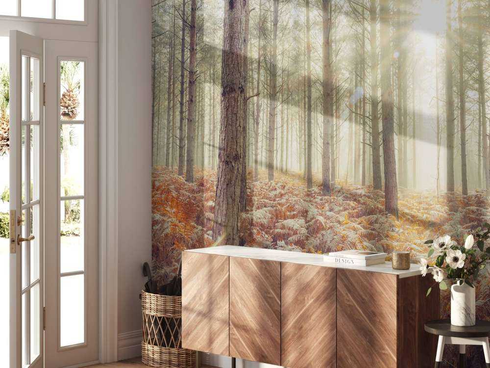 Rayons de soleil à travers des arbres froids