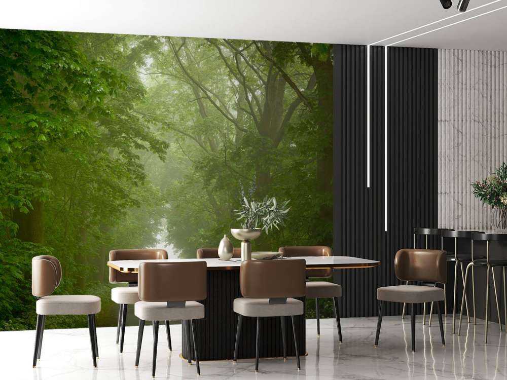 Forêt verte avec chemin brumeux