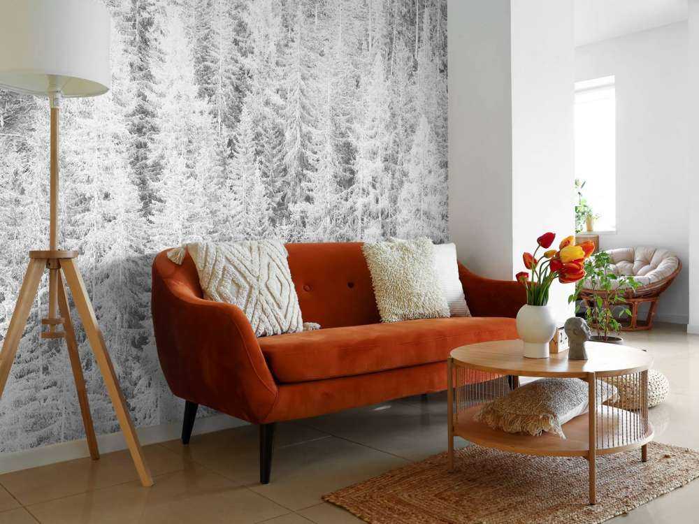 Les conifères en noir et blanc