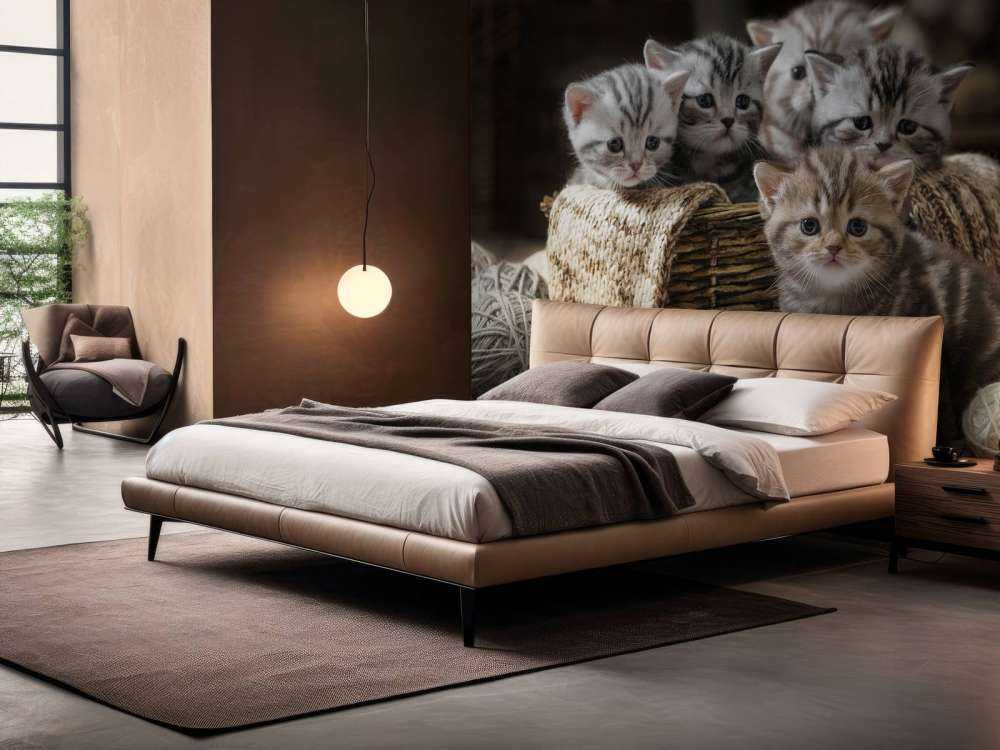 Chatons avec de la laine