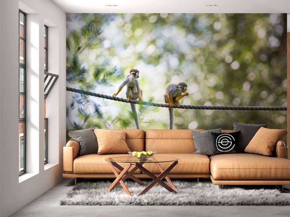 Singes écureuils sur corde