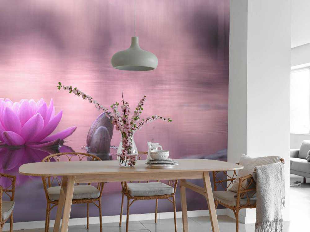 Fleur de lotus dans un étang