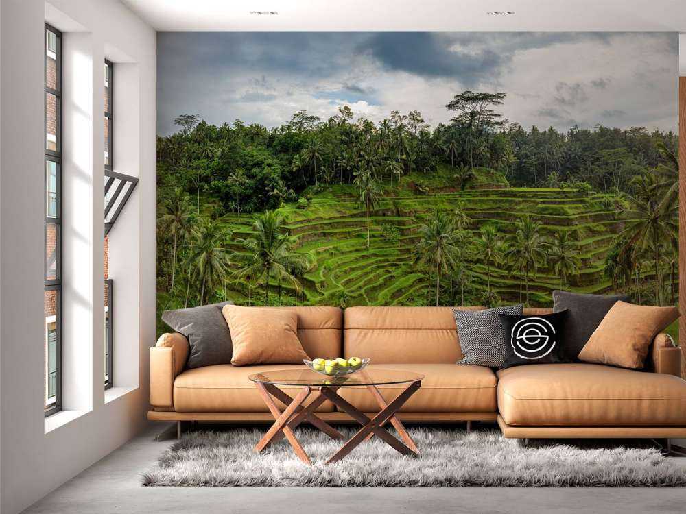 Les rizières thaïlandaises