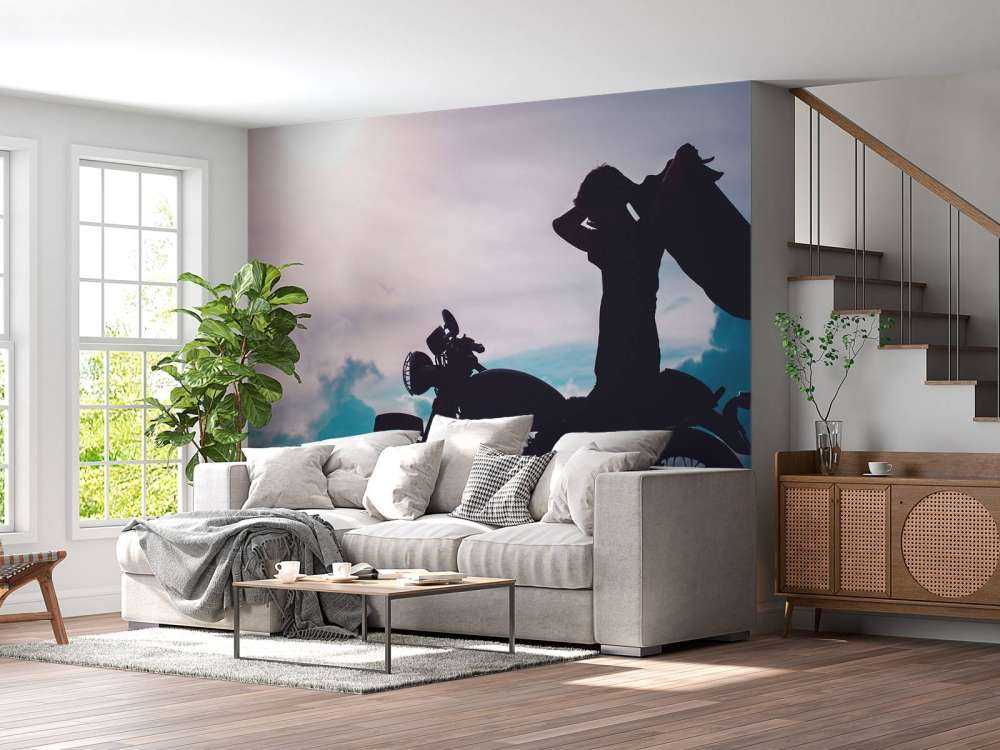 Motocycliste silhouette