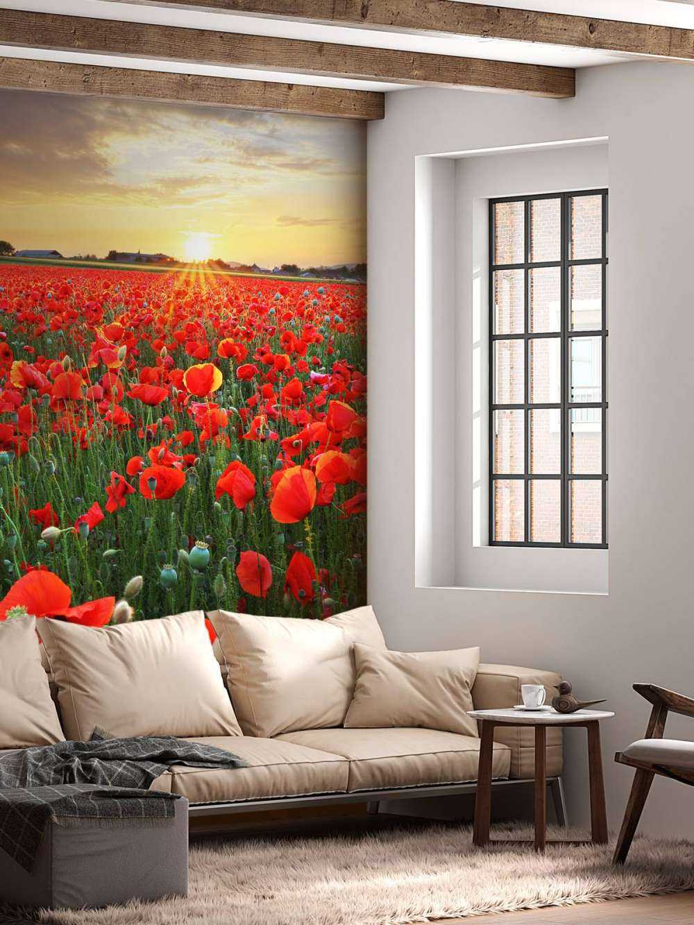 Les coquelicots au coucher du soleil