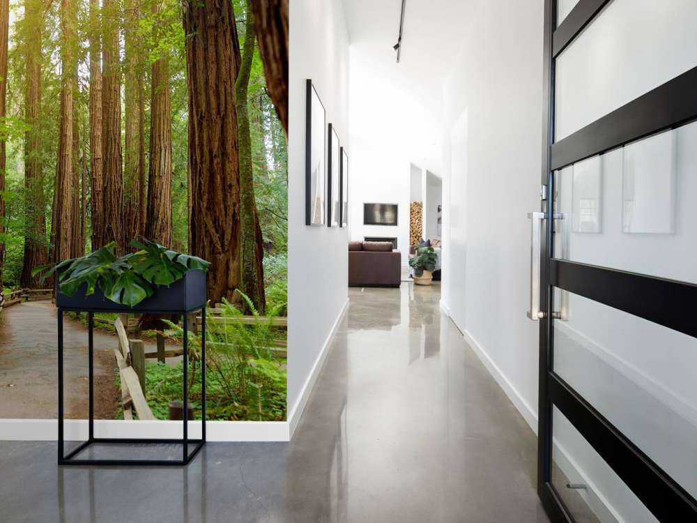 De grands arbres dans un parc