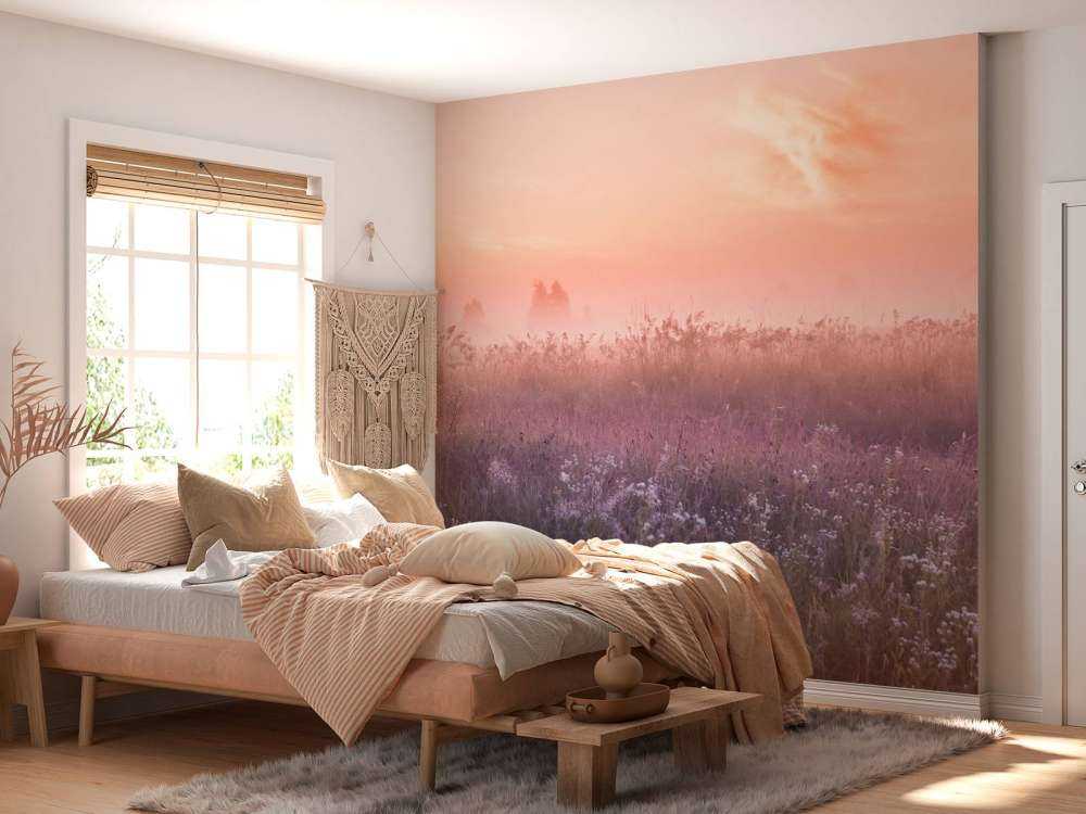 Champ avec brume du matin