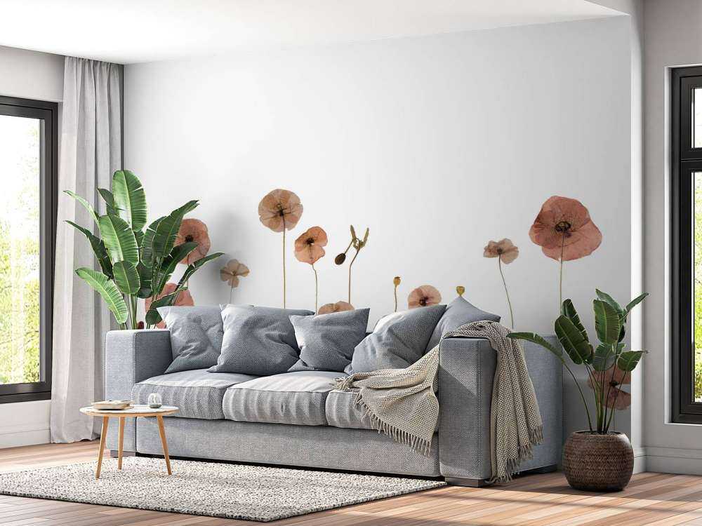 Champ de fleurs de coquelicot coloré