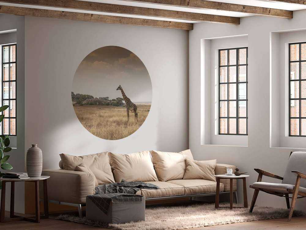 Girafe dans la savane