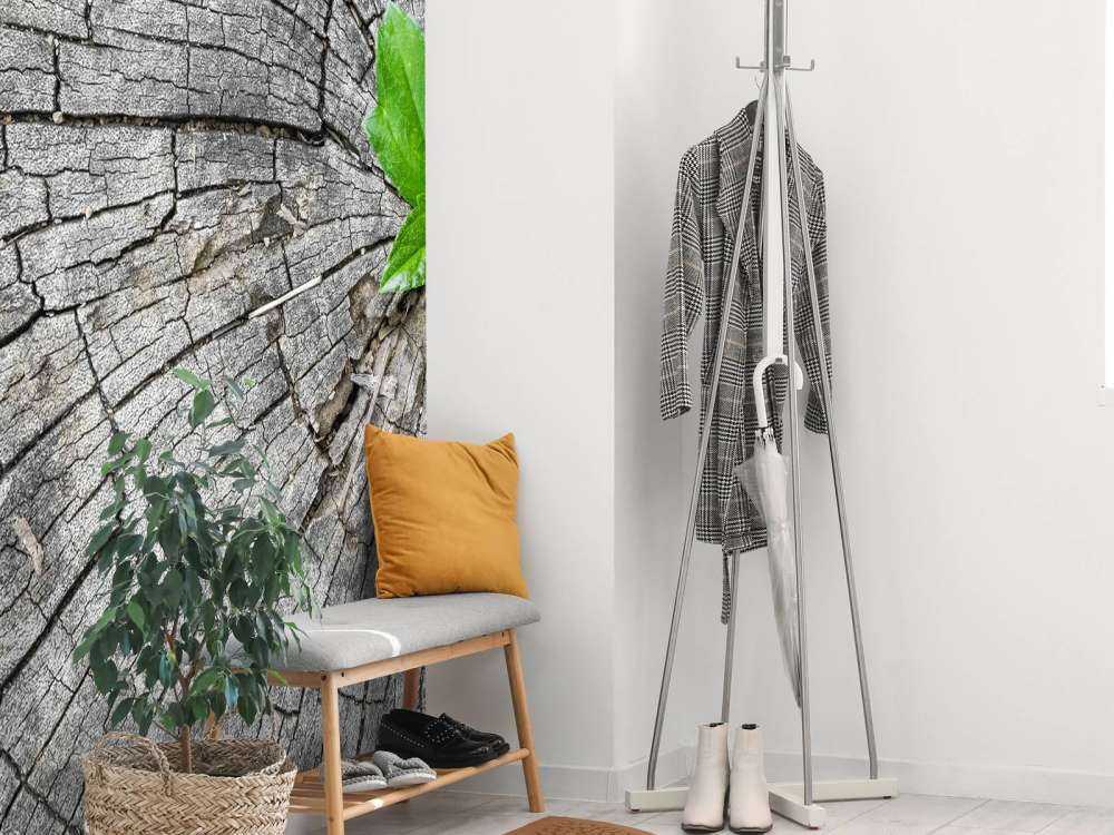 Diamètre d'un tronc d'arbre