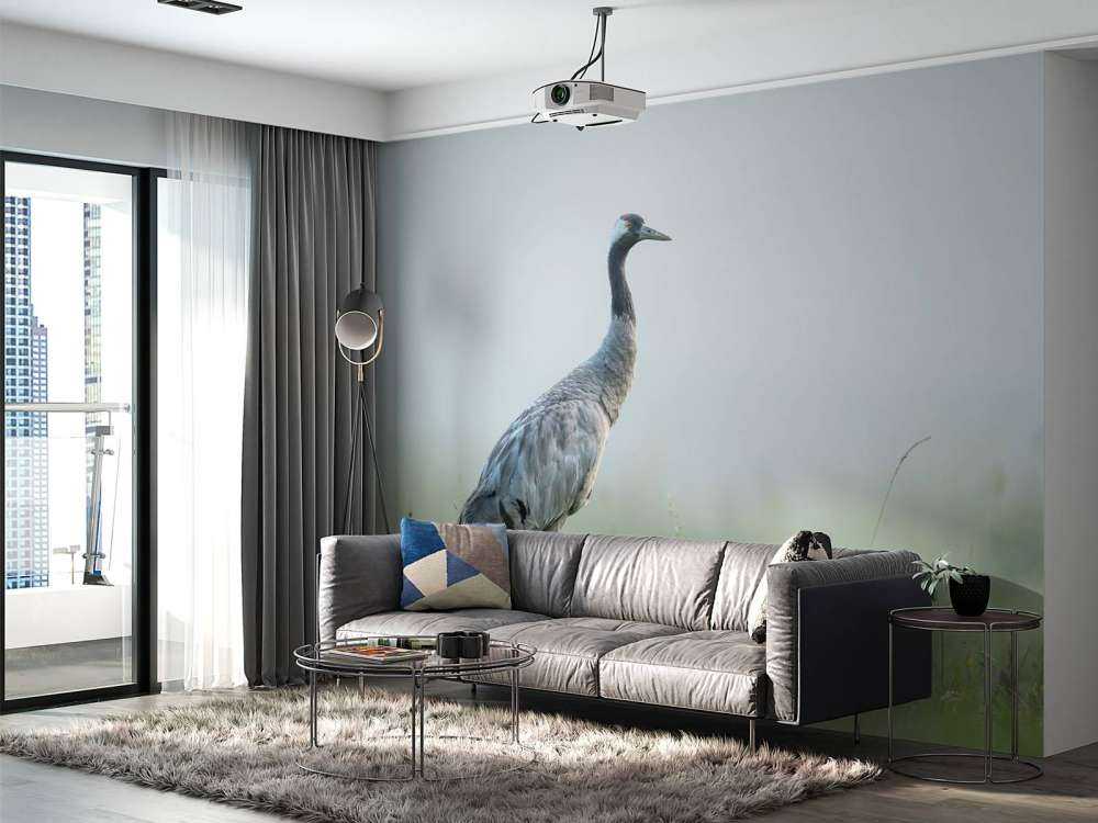 Grue dans la brume du matin