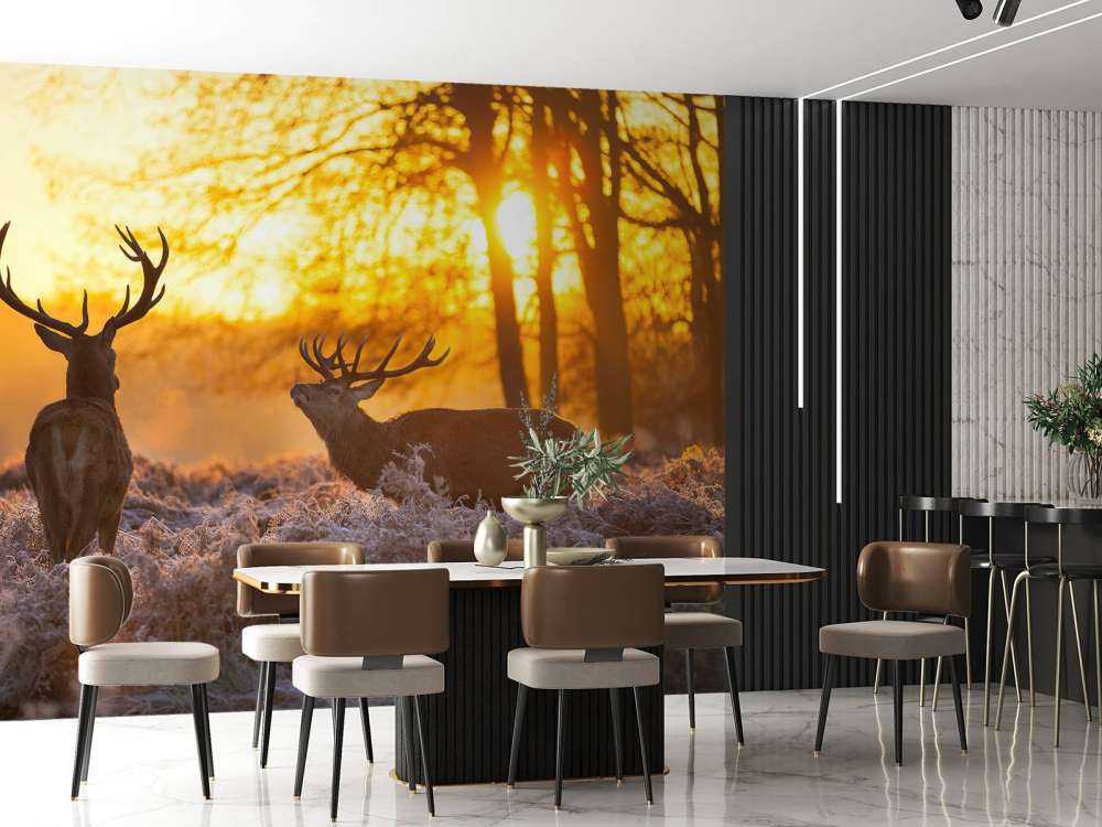 Cerfs au coucher du soleil