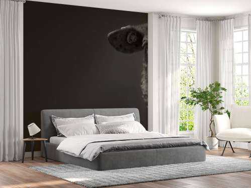 Gros plan sur un mouton noir et blanc
