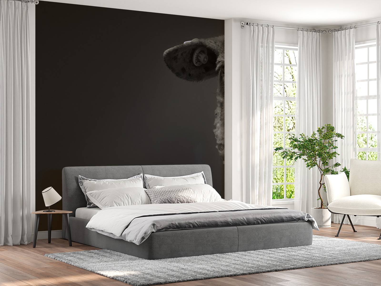 Gros plan sur un mouton noir et blanc