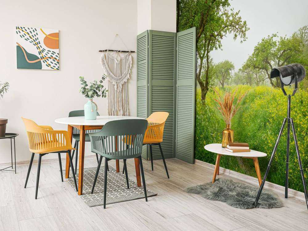 Promenade au millieu de fleurs jaunes