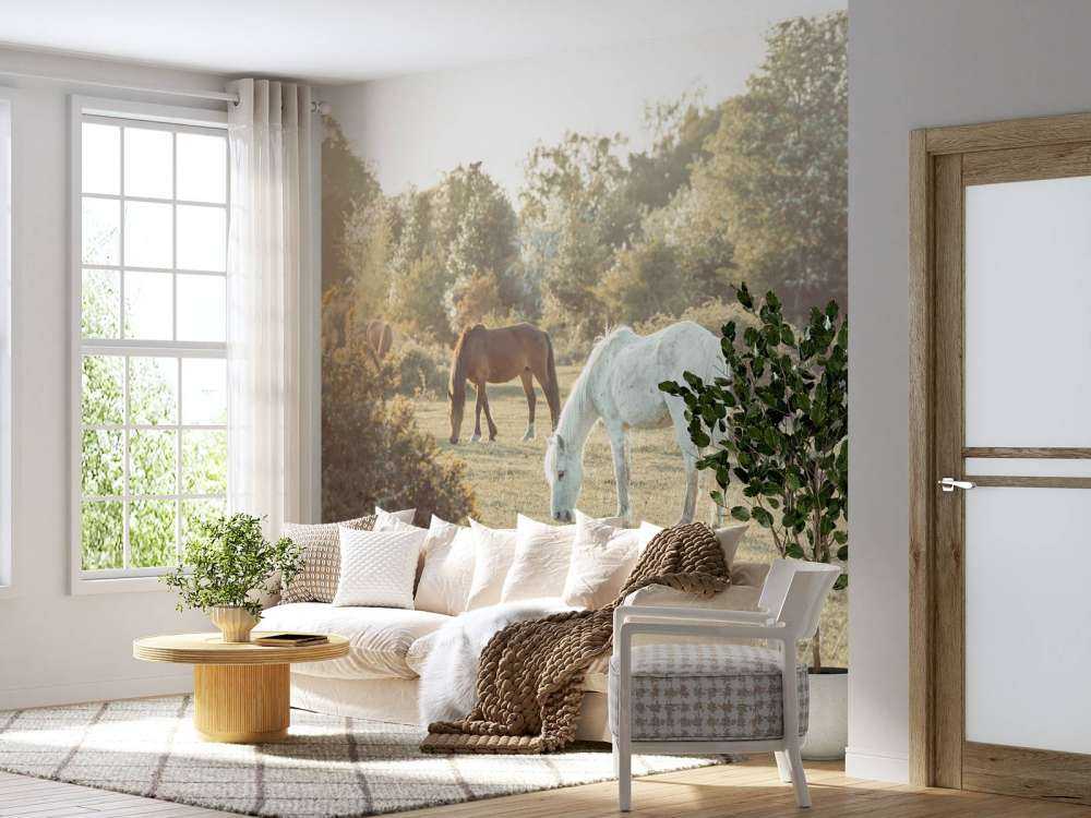 Chevaux dans la prairie