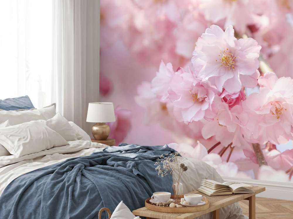 Gros plan sur des fleurs roses