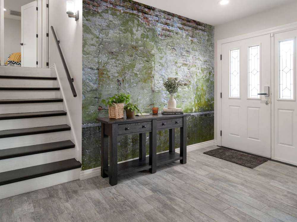 Mousse sur un vieux mur