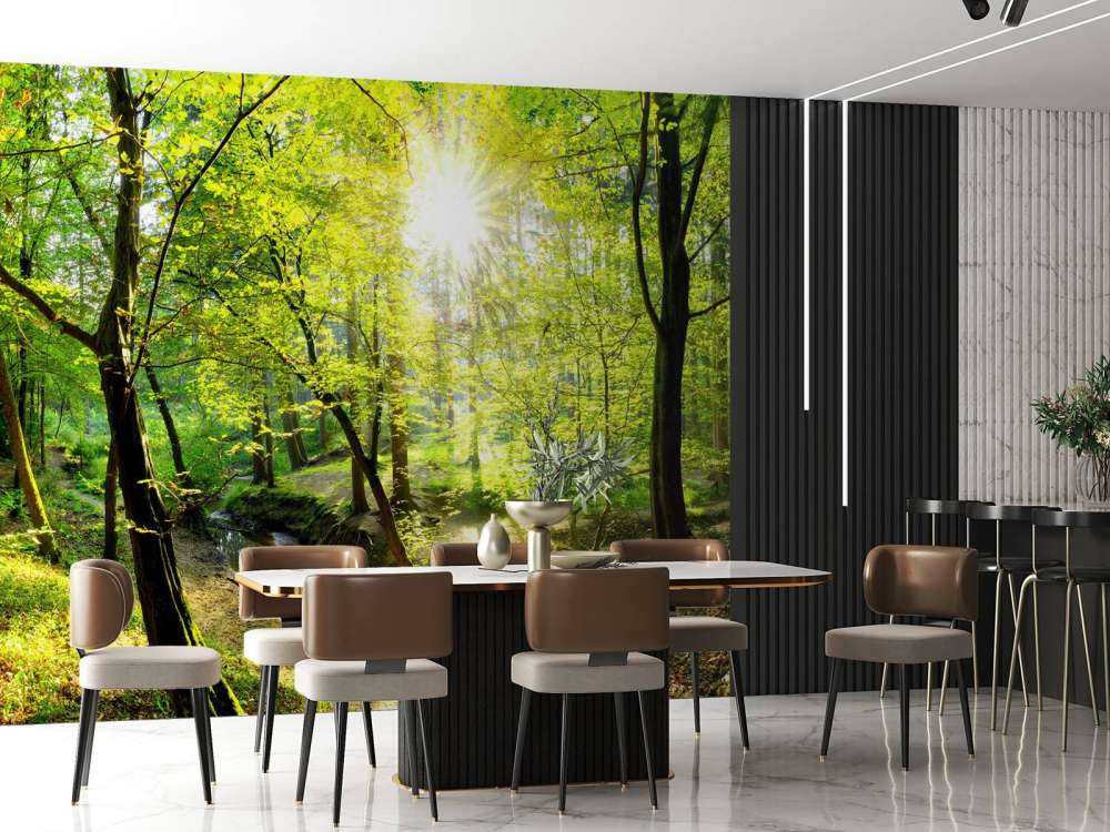 Forêt avec un ruisseau