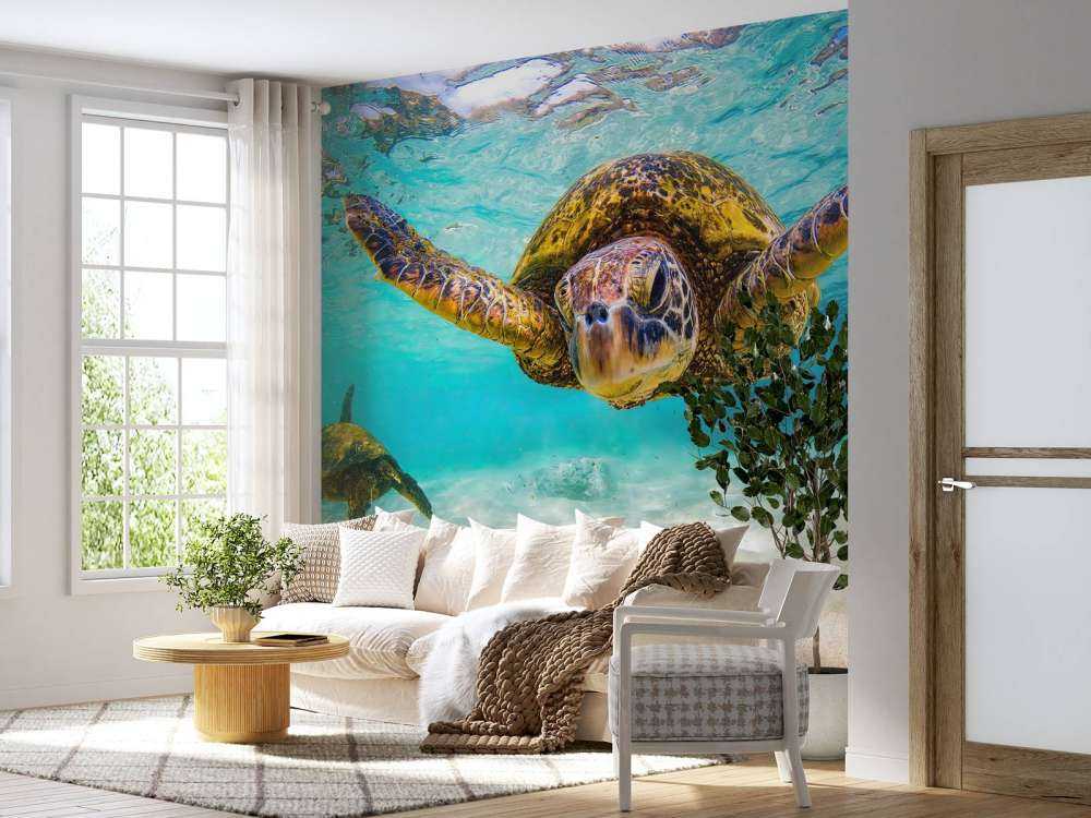 Tortue de mer dans l'océan