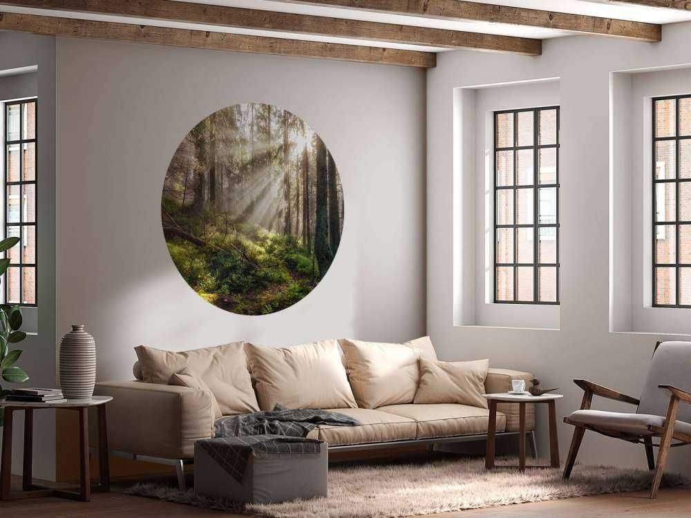 Forêt d'automne ensoleillée