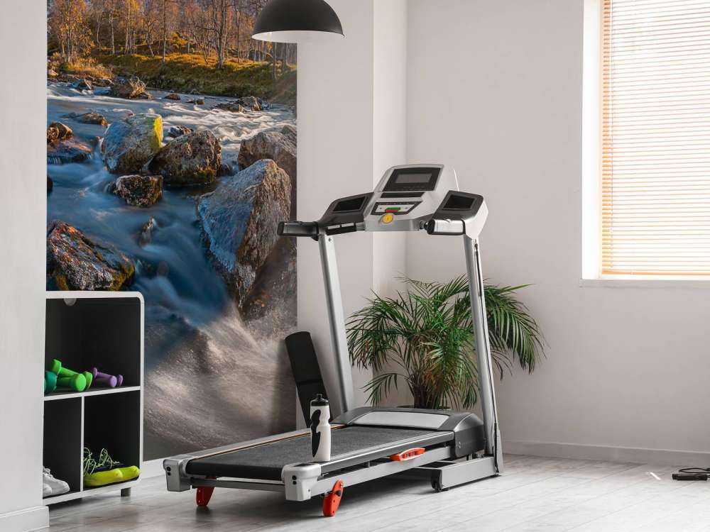 Rivière de montagne