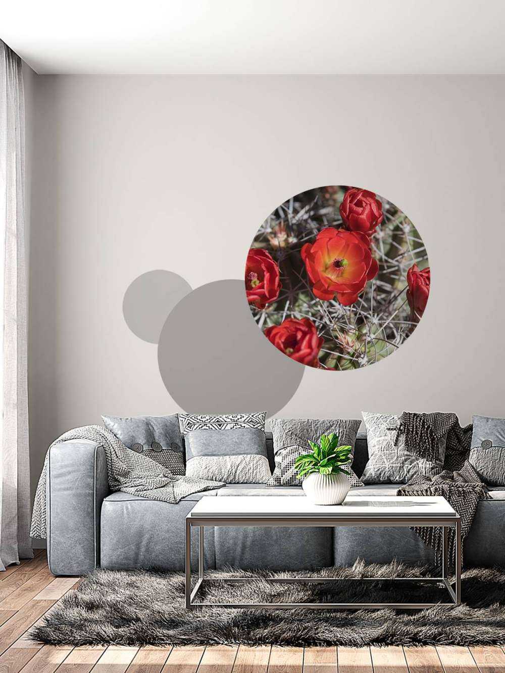 Fleurs de cactus rouge