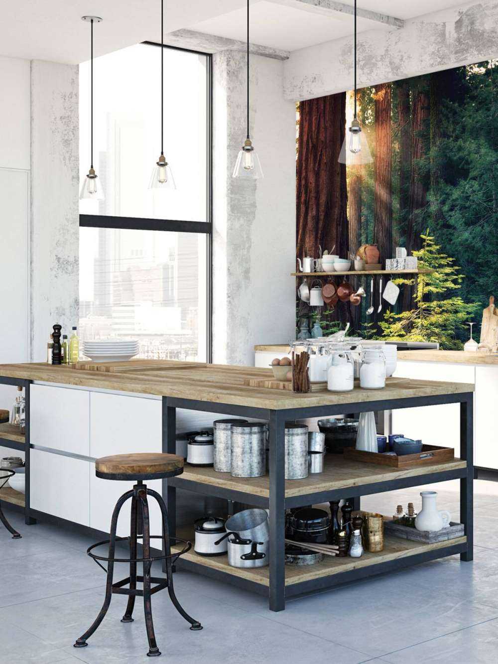 Lumière du soleil entre les acajous