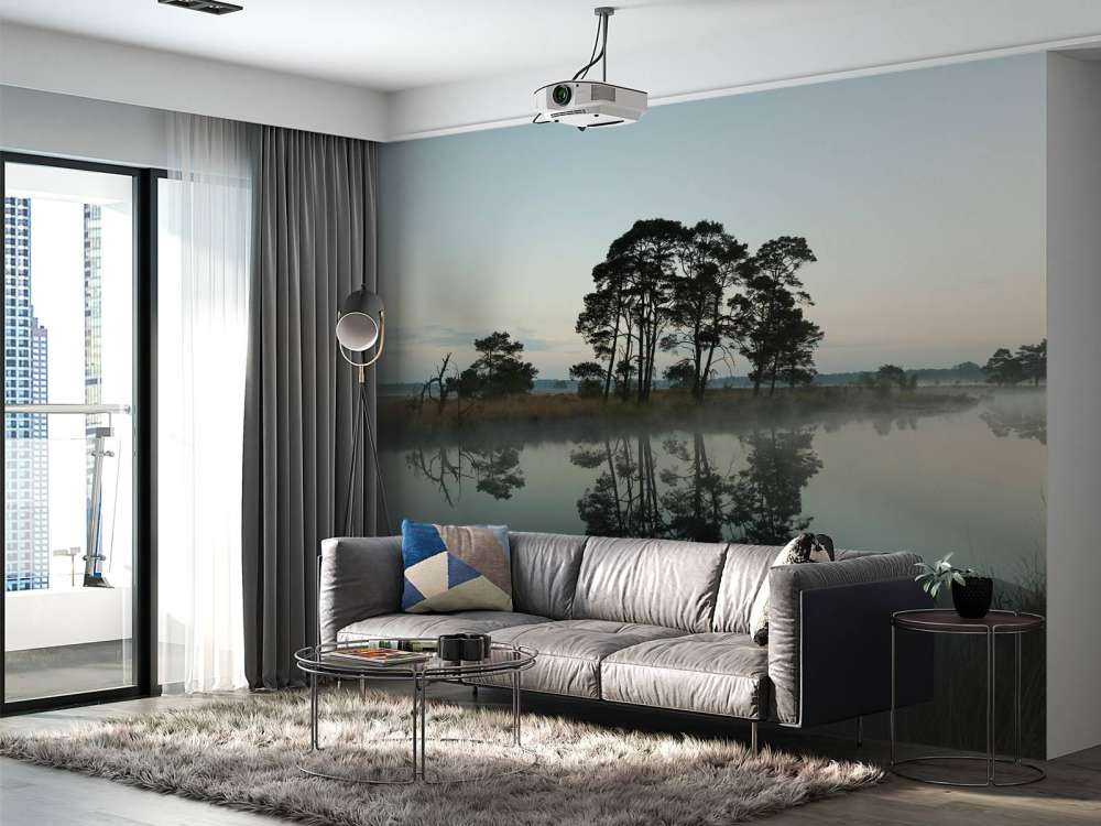 Les arbres le long des forêts