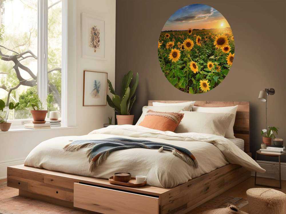 Un beau champ de tournesols