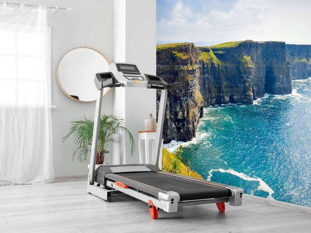 Falaise le long de la côte