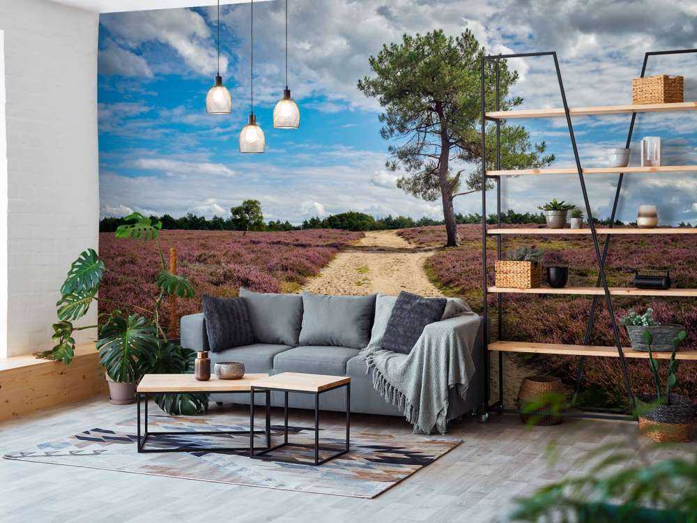 Un arbre dans la bruyère