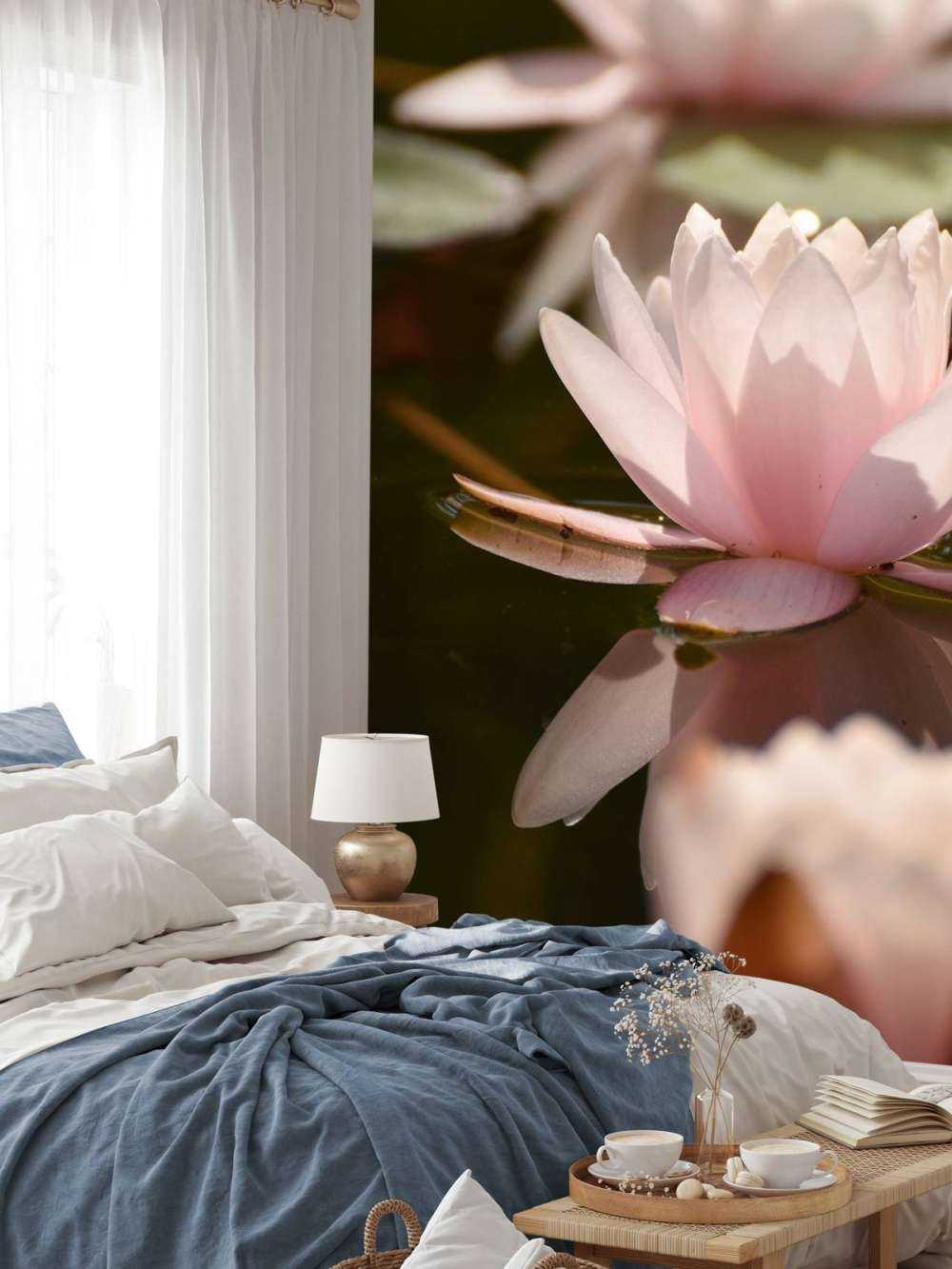 Fleur de lotus dans l'eau