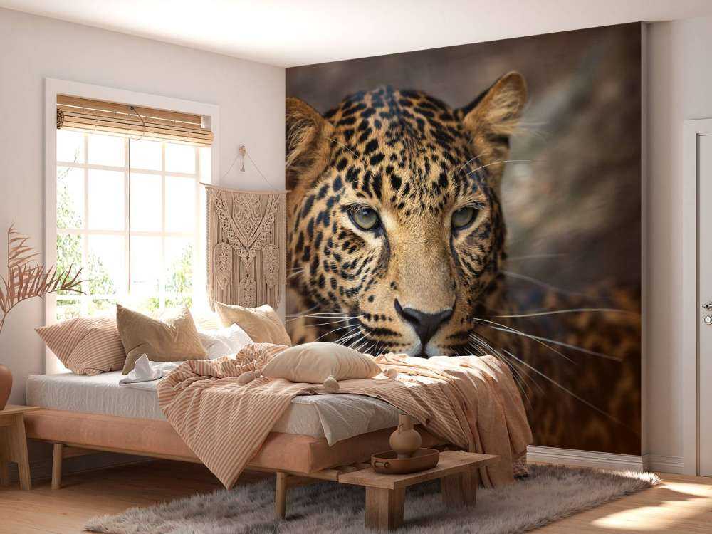 Gros plan d'une tête de léopard